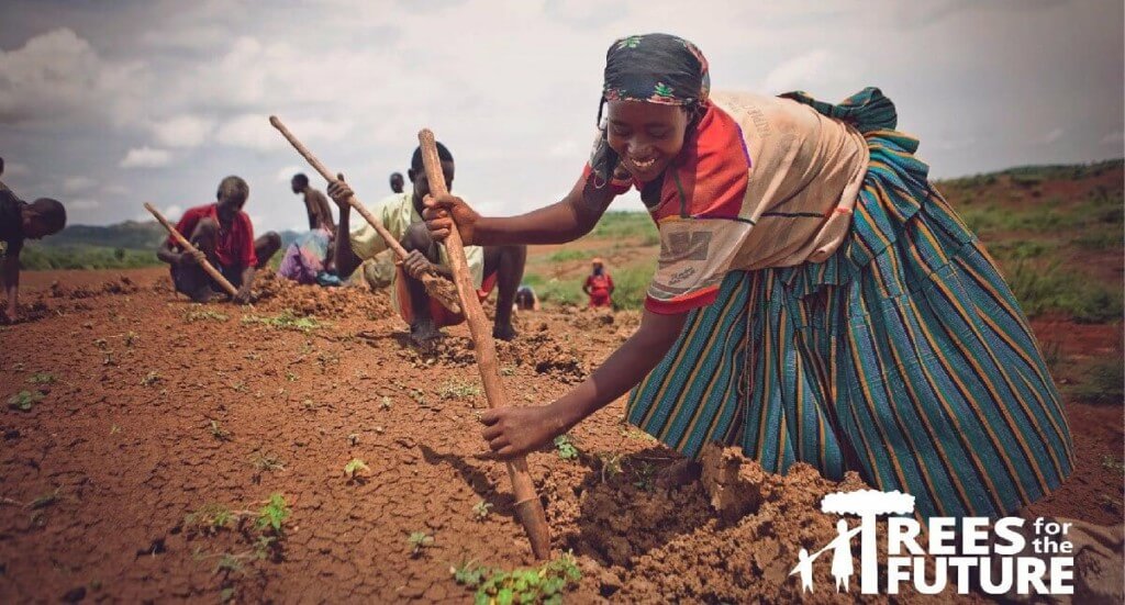 A woman works in a field planting trees