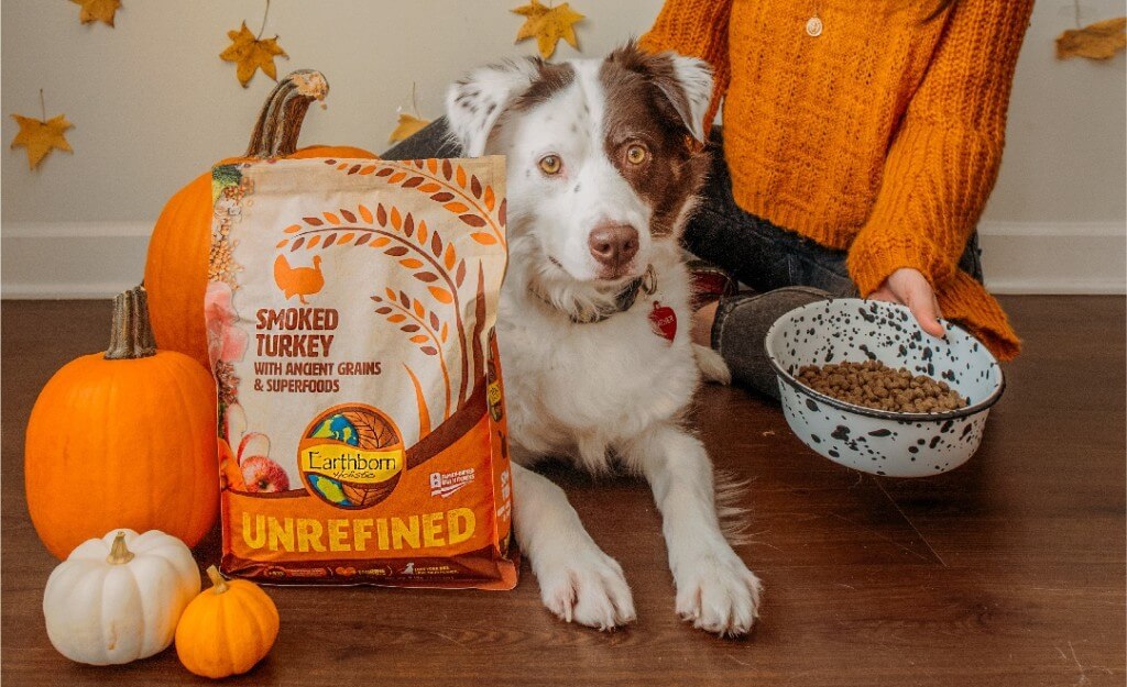 Pumpkin in Dog Food Earthborn Holistic Pet Food