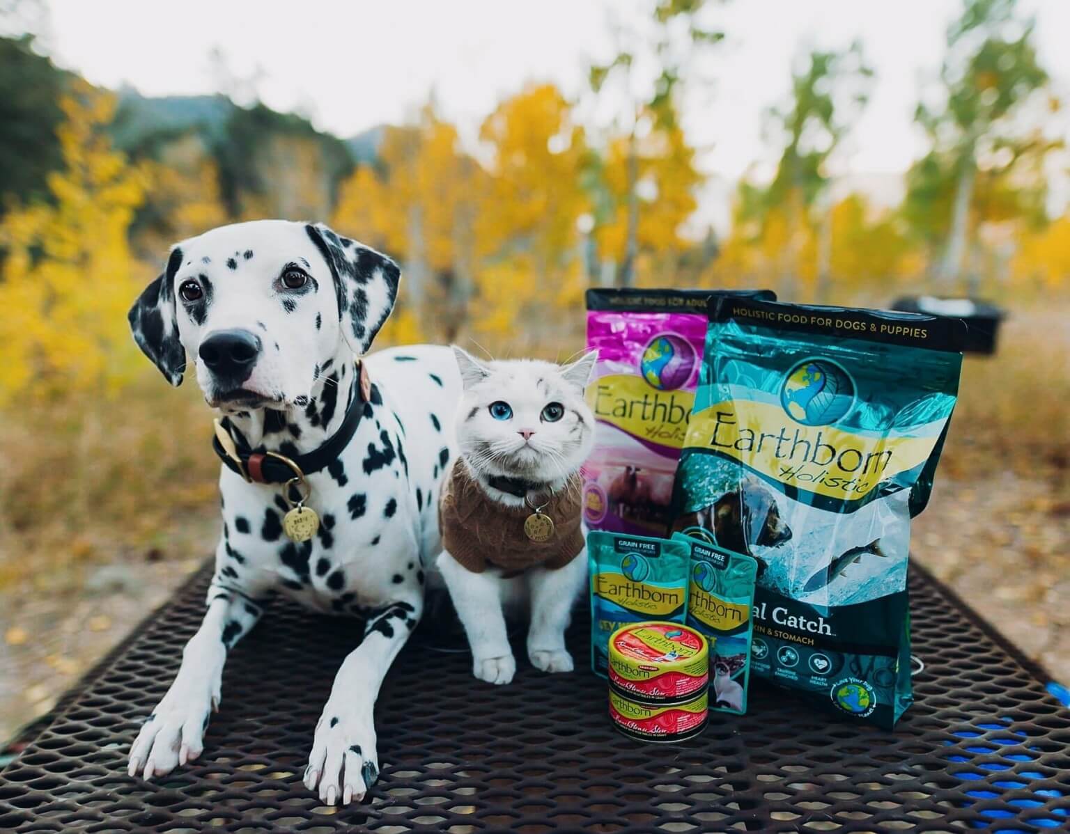 Earthborn Holistic Pet Food