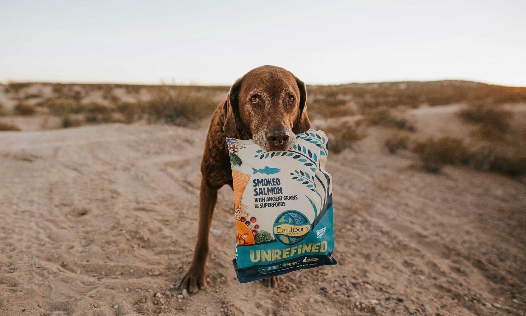 Ancient Grains Dog Food Recipes Earthborn Holistic Pet Food