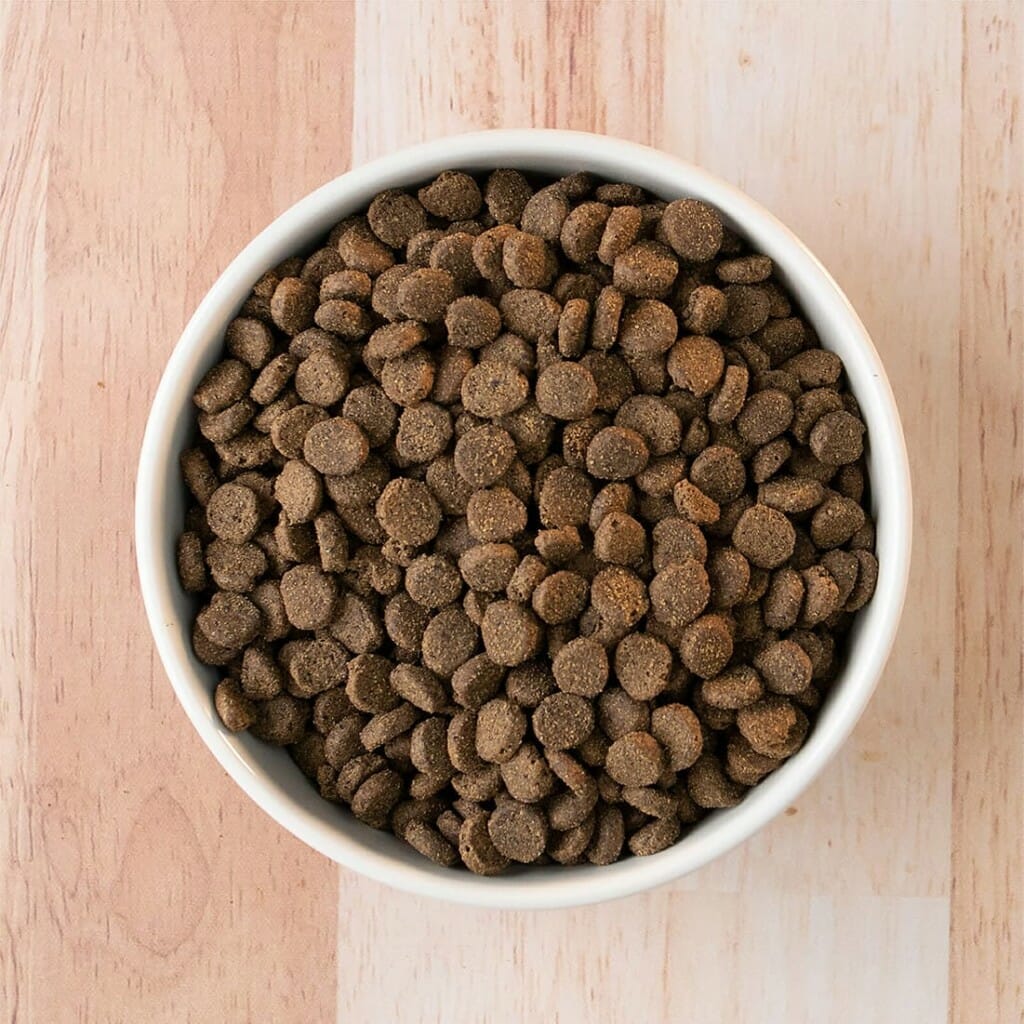 Smoked Salmon Earthborn Holistic Pet Food