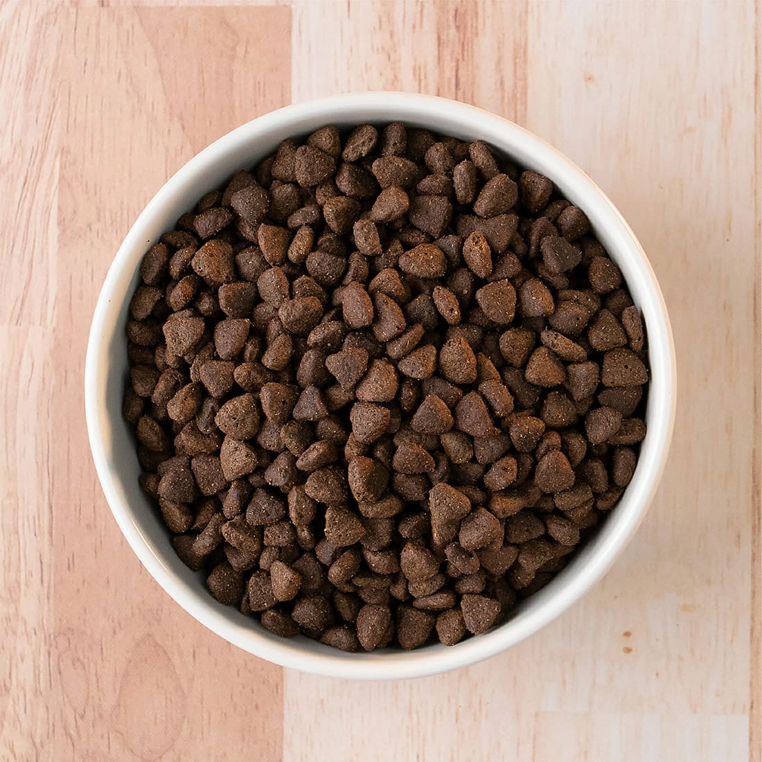 Roasted Lamb & Butternut Squash Earthborn Holistic Pet Food