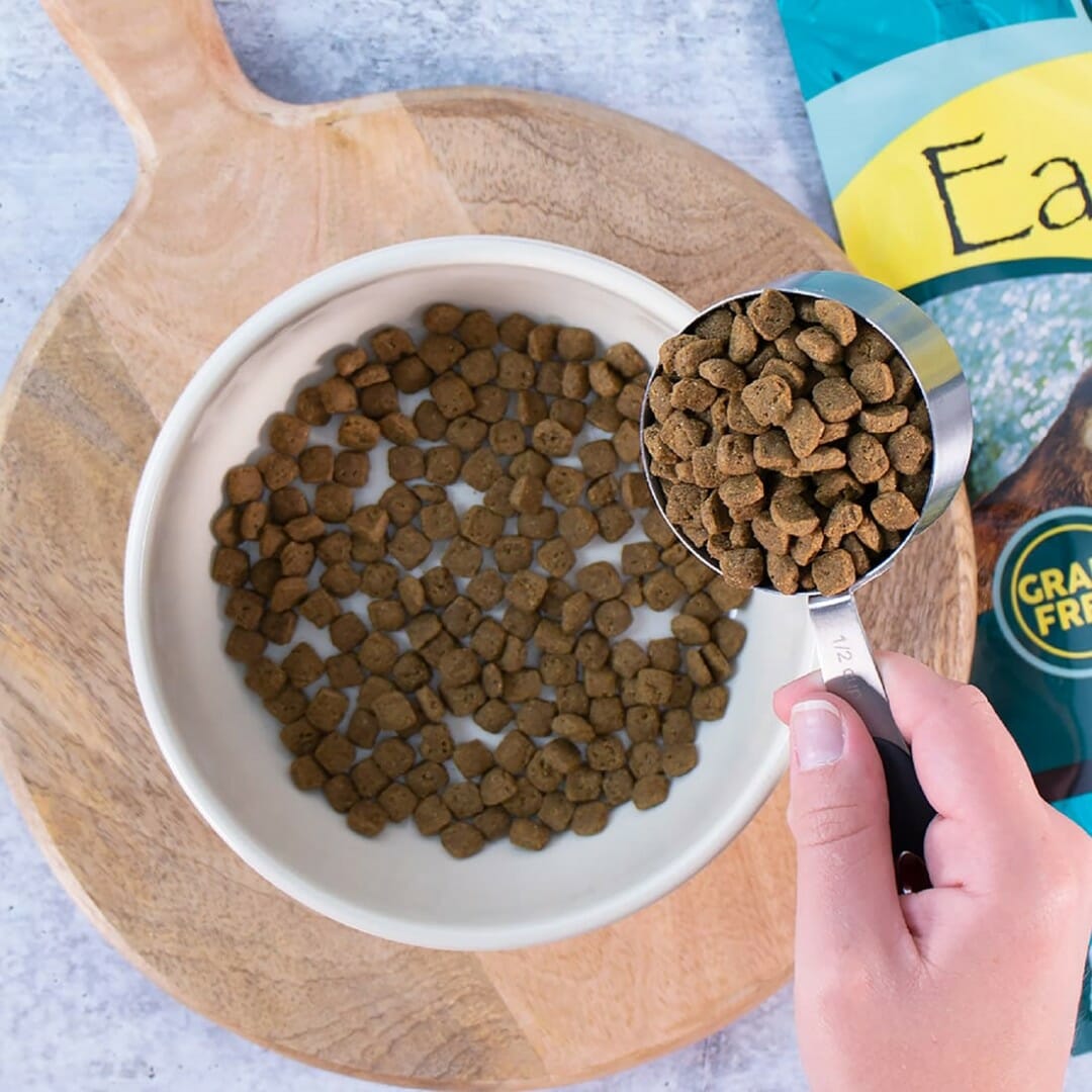 Coastal Catch Earthborn Holistic Pet Food International