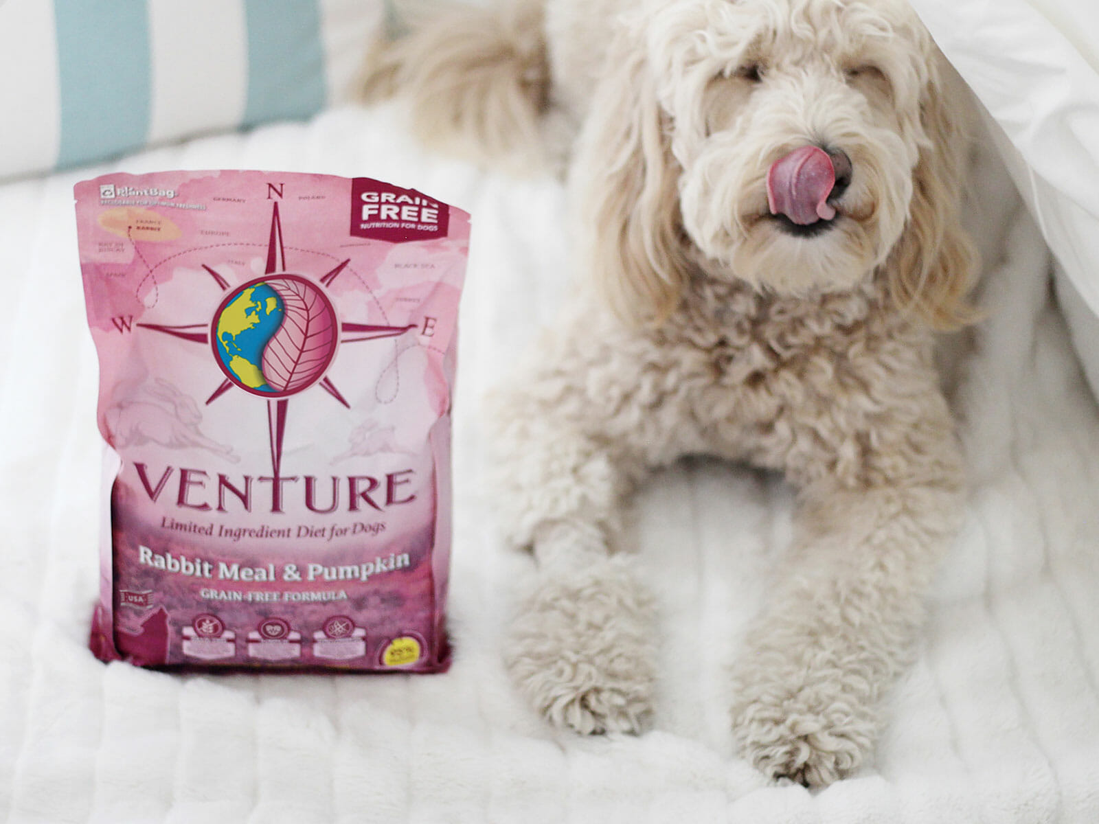 Rabbit Meal & Pumpkin Earthborn Holistic Pet Food