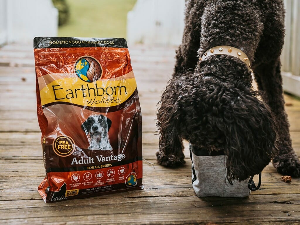Dog eating from a bowl of Earthborn Holistic Adult Vantage dog food