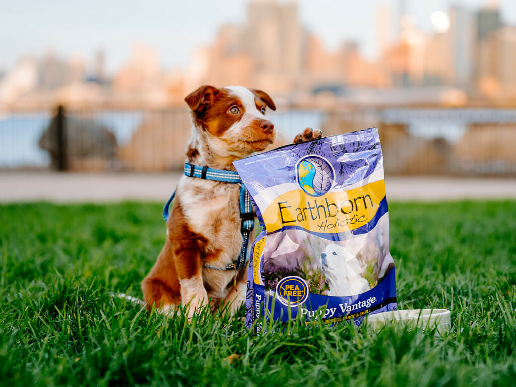 Puppy pawing at a bag of Earthborn Holistic Puppy Vantage dog food