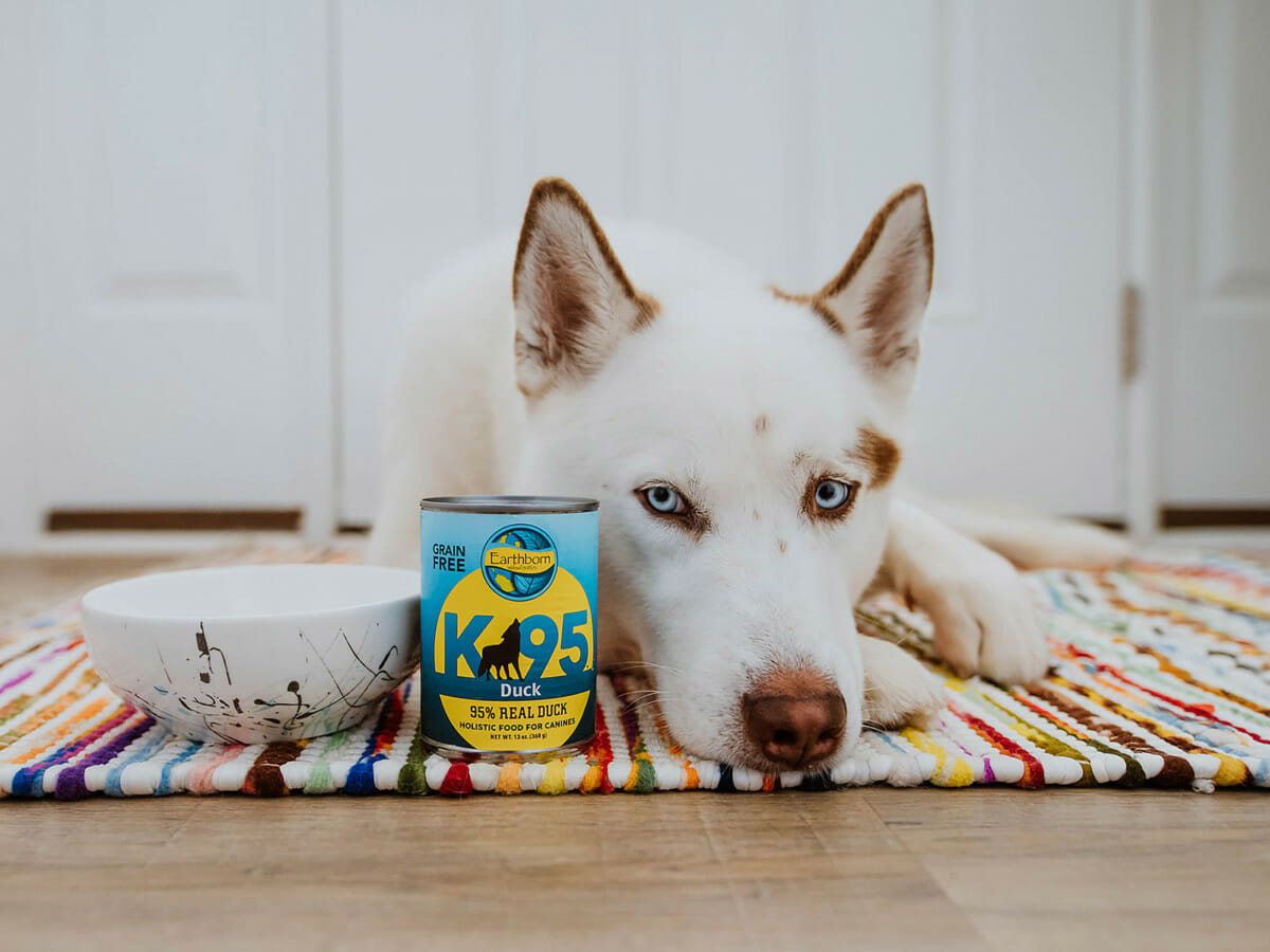 K95 Duck Earthborn Holistic Pet Food