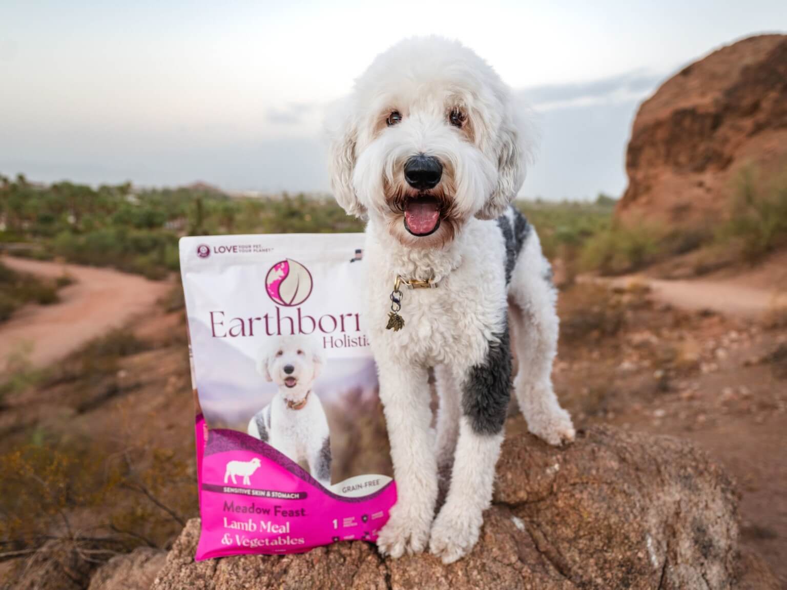 Meadow Feast Earthborn Holistic Pet Food