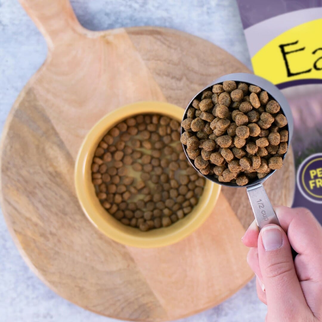 Puppy Vantage Earthborn Holistic Pet Food