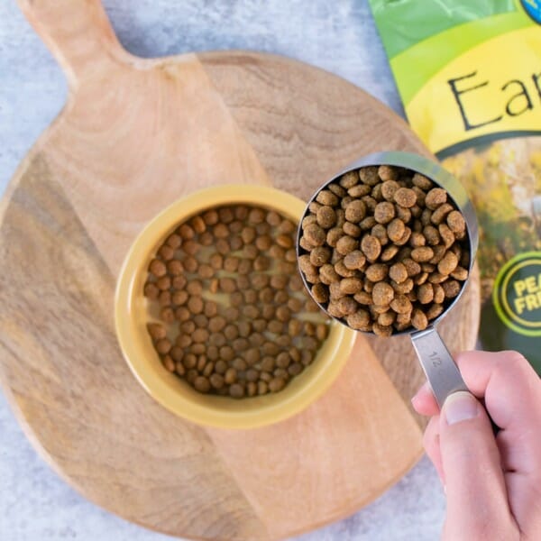 Small Breed Earthborn Holistic Pet Food