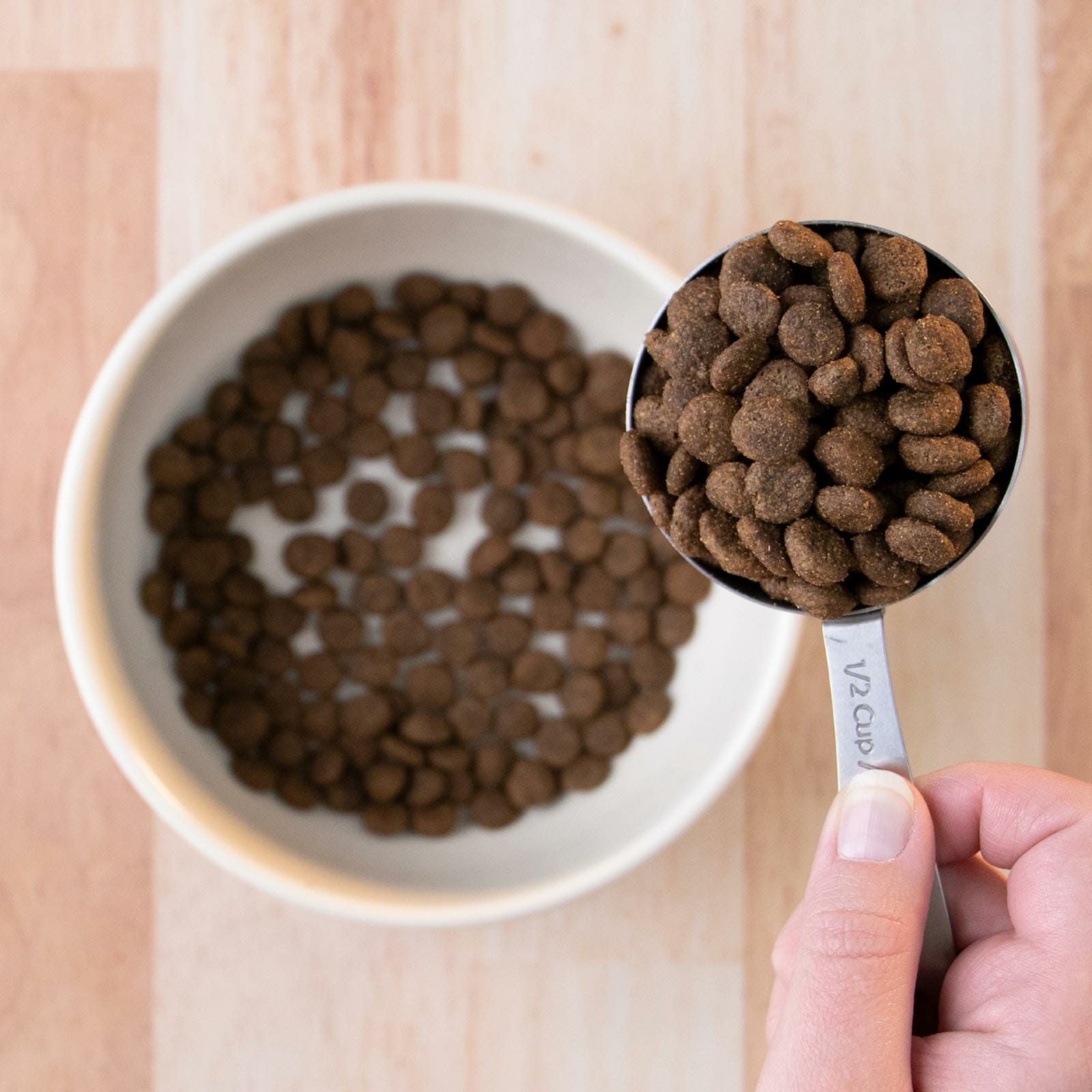 Smoked Wild Boar & Butternut Squash Earthborn Holistic Pet Food