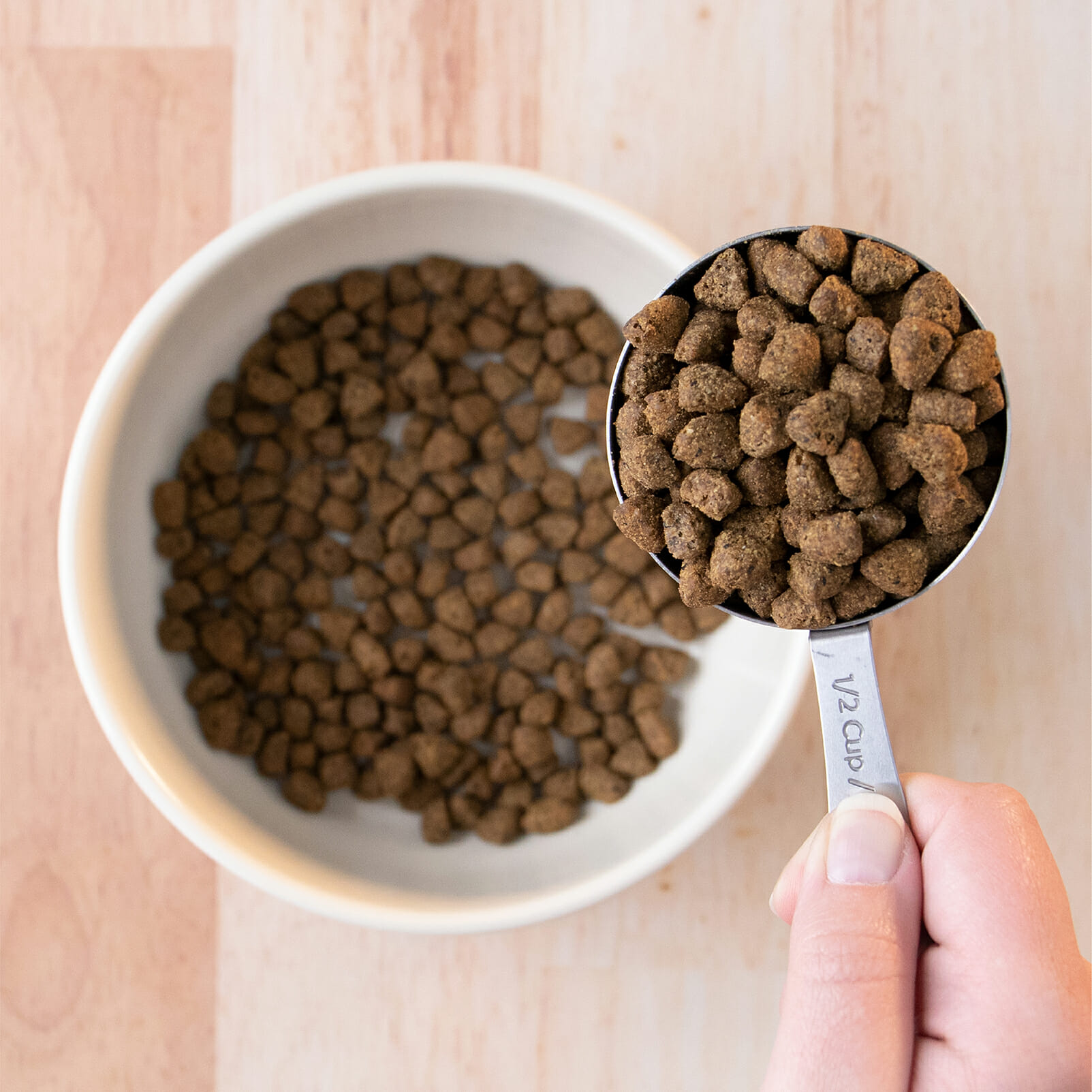 Roasted Rabbit Earthborn Holistic Pet Food