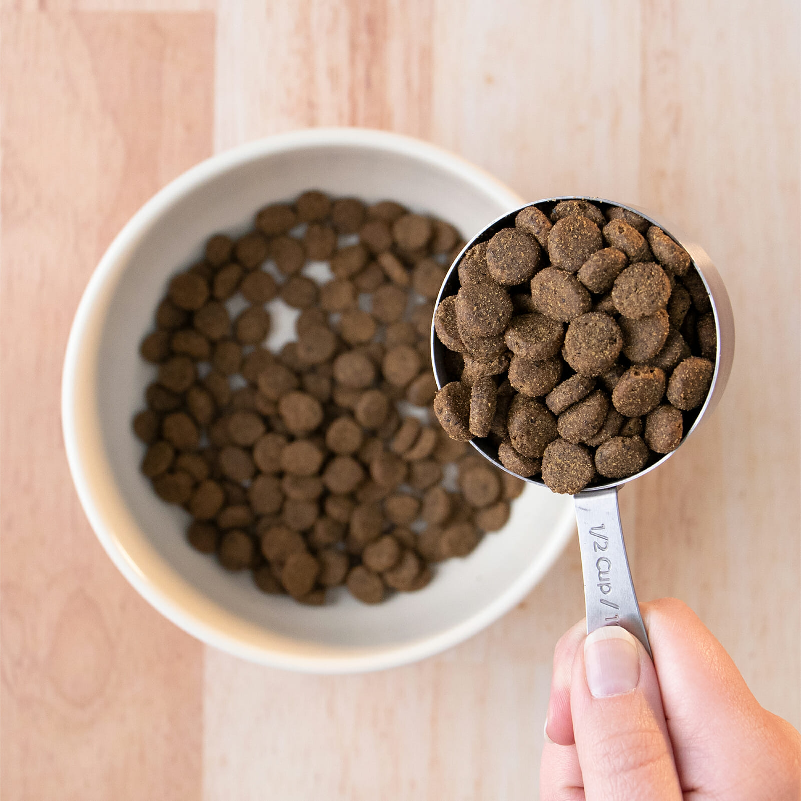 Smoked Salmon Earthborn Holistic Pet Food