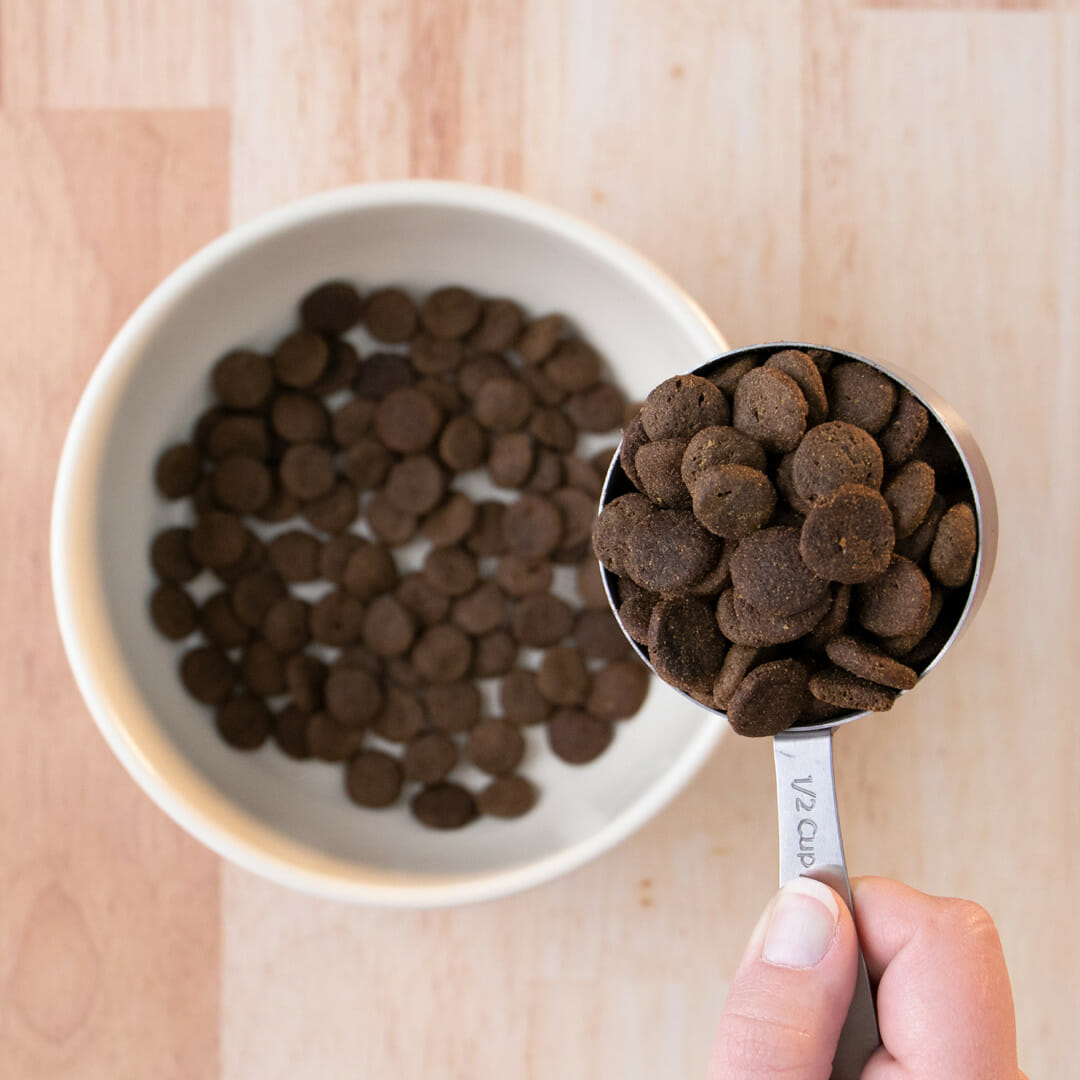 Alaska Pollock Meal & Pumpkin Earthborn Holistic Pet Food