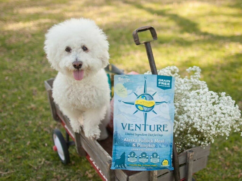 A dog in a wagon with a bag of Earthborn Holistic Alaska Pollock Meal & Pumpkin Limited Ingredient Dog food.