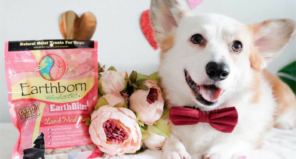 A smiling dog lays next to Earthborn Holistic dog treats surrounded by Valentine's Day decorations
