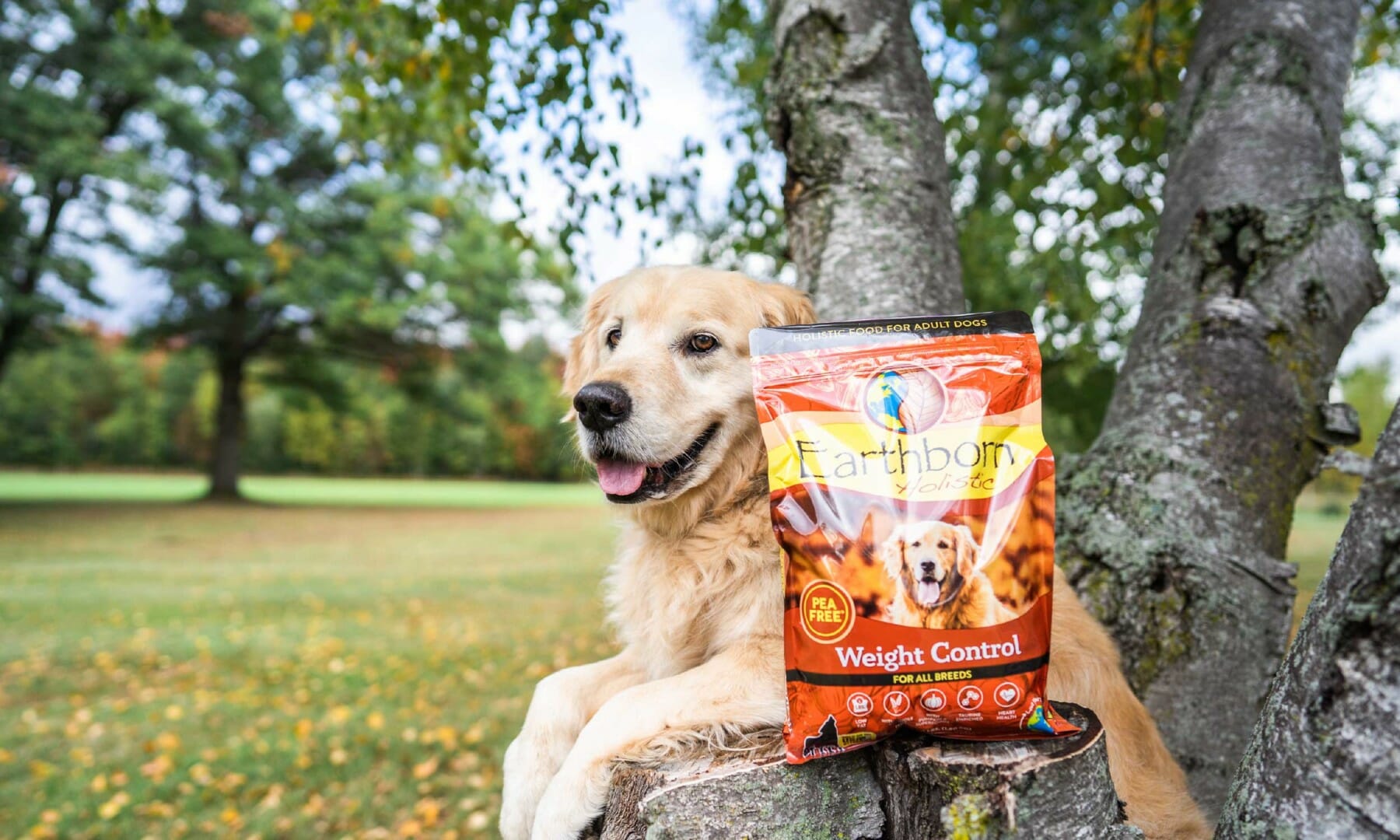 Dog Food Earthborn Holistic Pet Food International