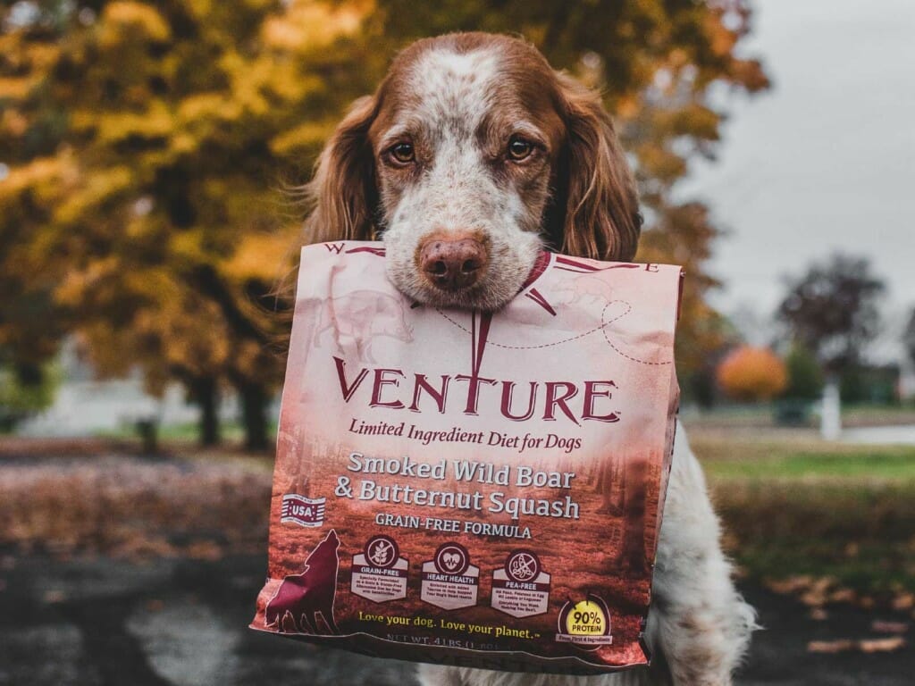 A dog holds a bag of Venture Smoked Wild Boar & Butternut Squash dog food in its mouth