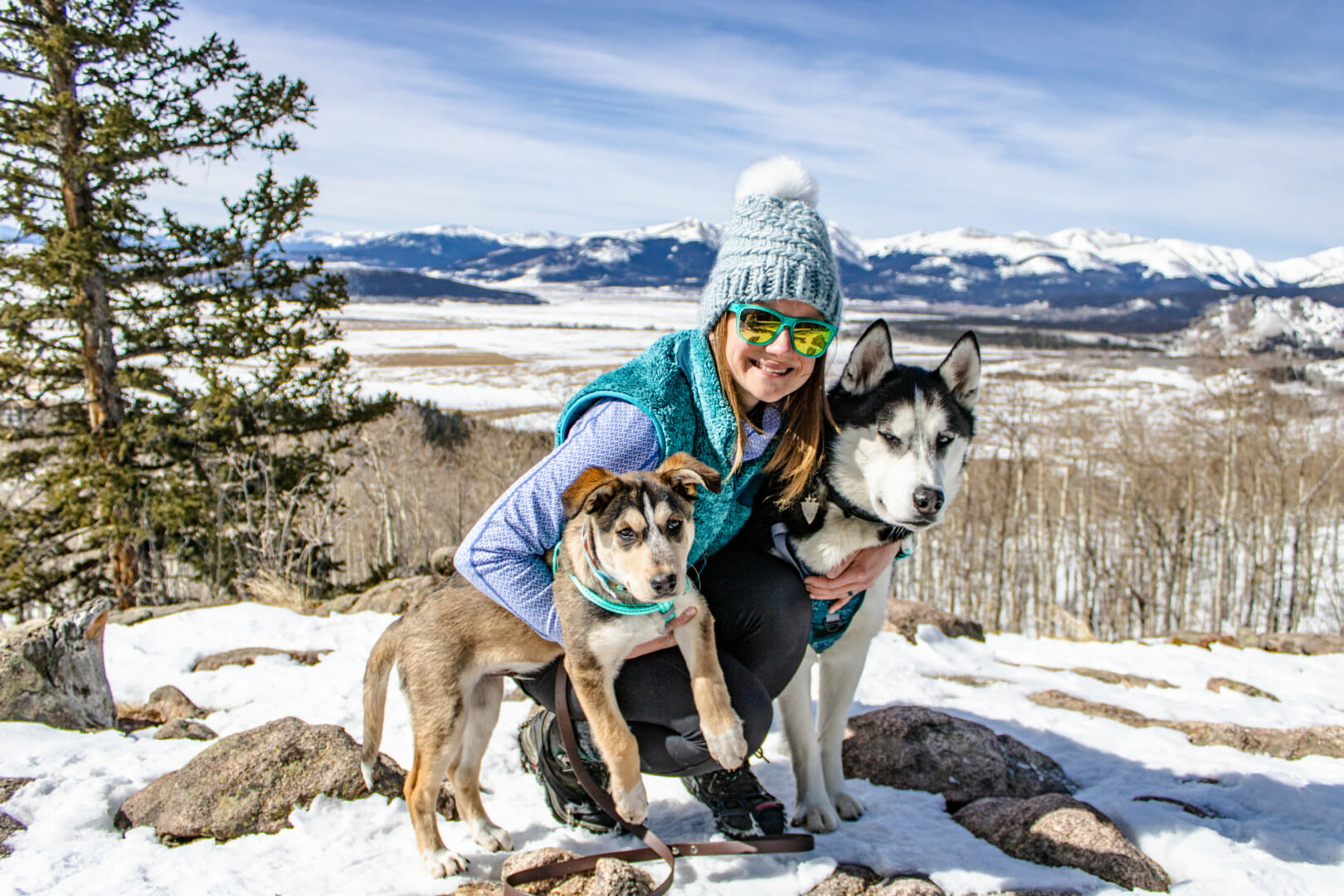 Top Five Dog-Friendly Colorado Adventures | Earthborn Holistic Pet Food