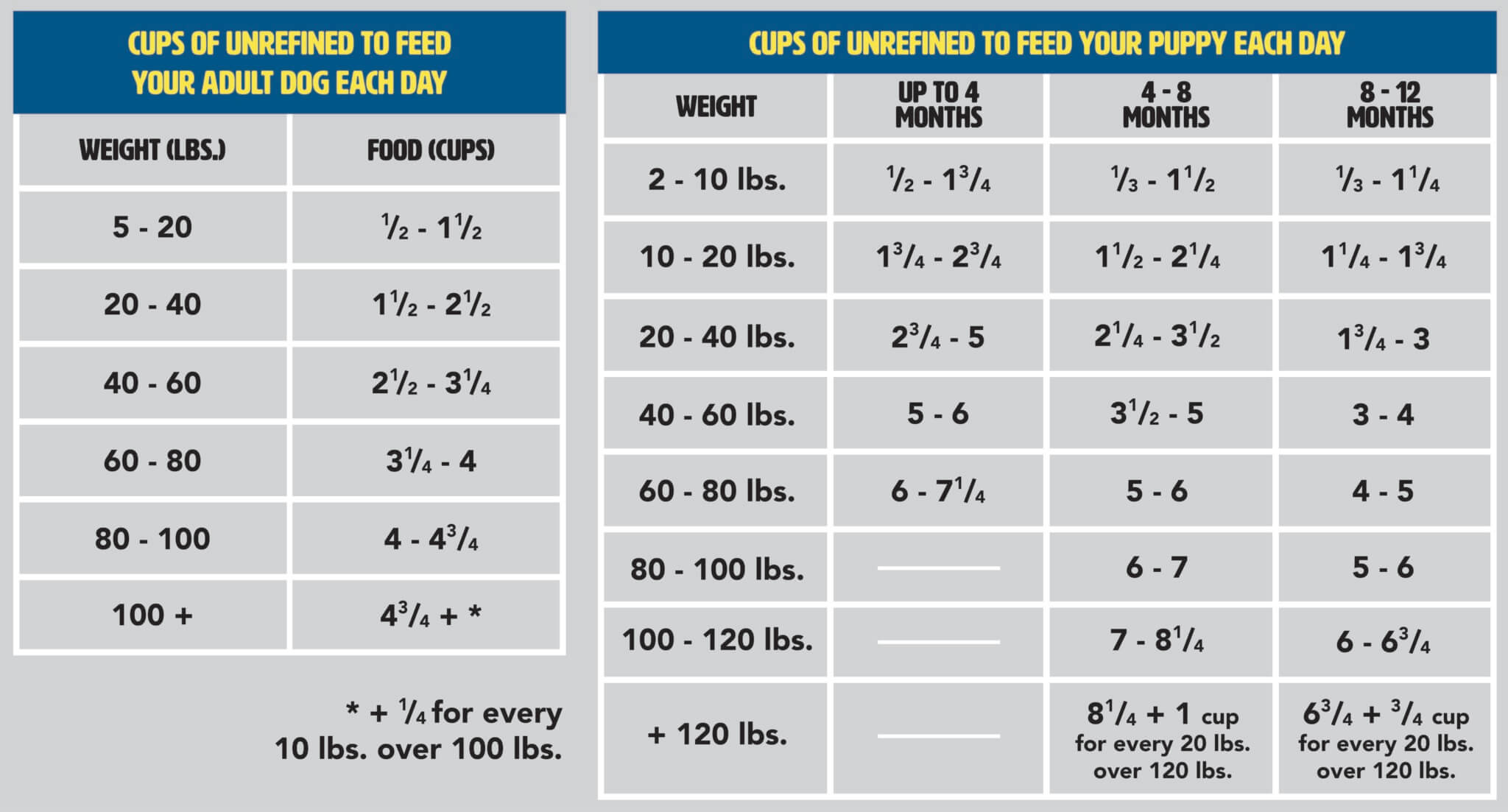 How Much Food Should I Feed My Dog? | Earthborn Holistic Pet Food