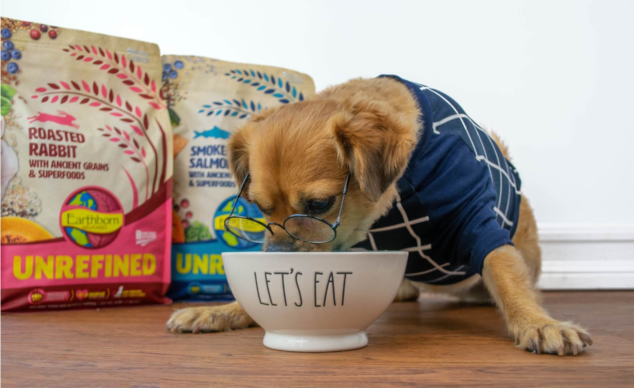 Dog Food Storage Ideas You'll Love Earthborn Holistic Pet Food