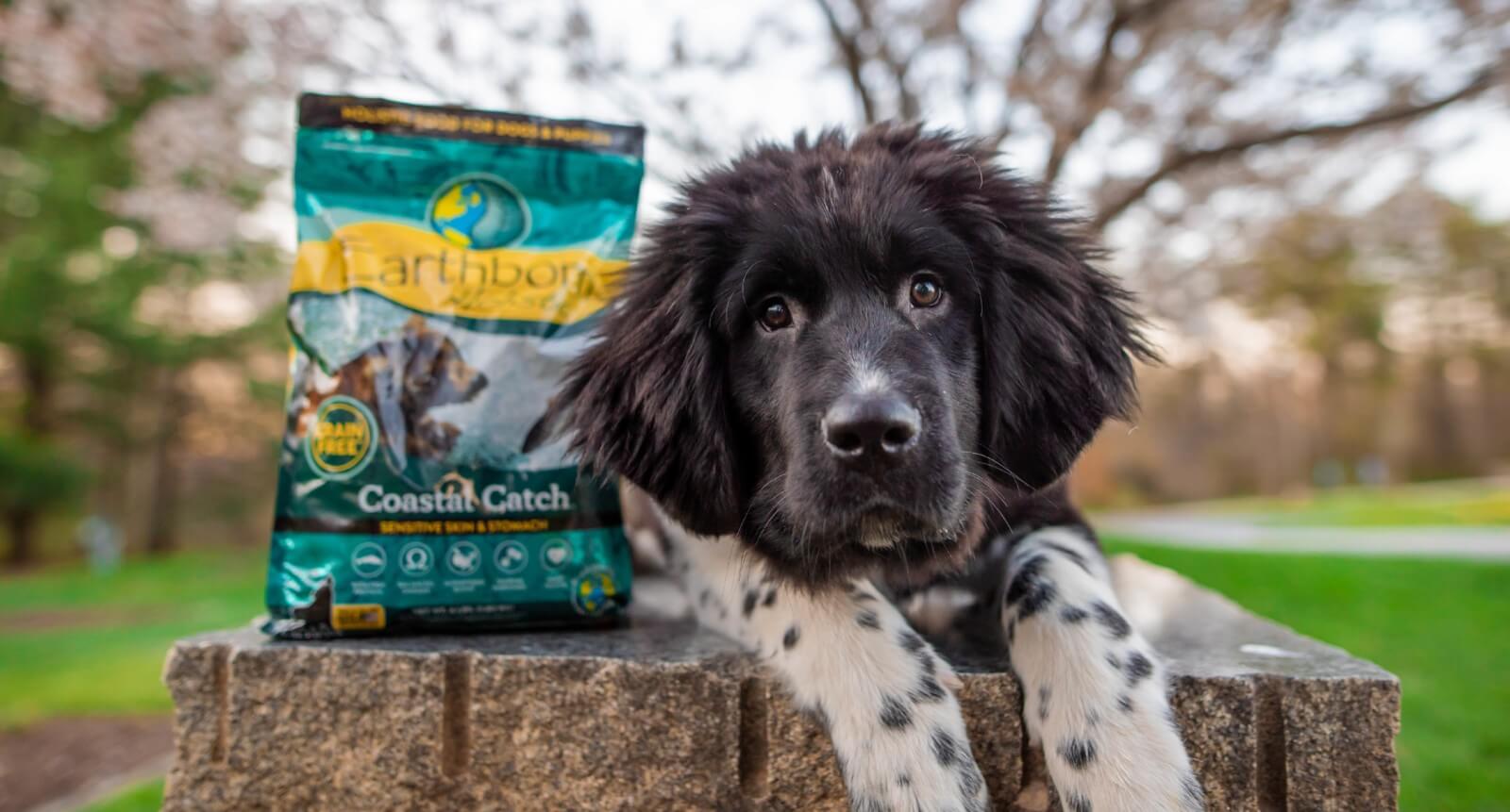 Earthborn Holistic Pet Food