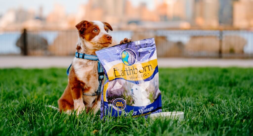 A small puppy sits next to a bag of Puppy Vantage wit his paw on top of the bag