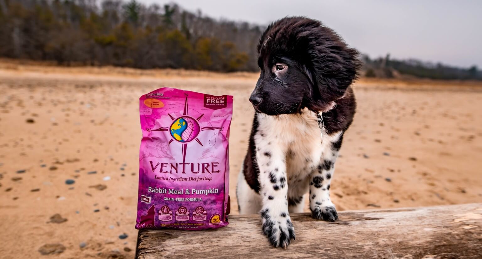 The Best Puppy Food for Your Growing Dog Earthborn Holistic Pet Food
