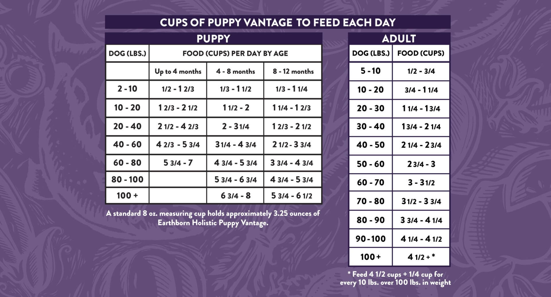 special dog food puppy feeding guide