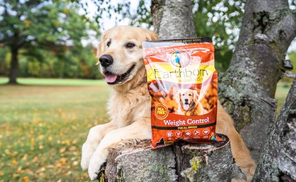 Everything to Know About Weight Loss Dog Food Earthborn Holistic Pet Food