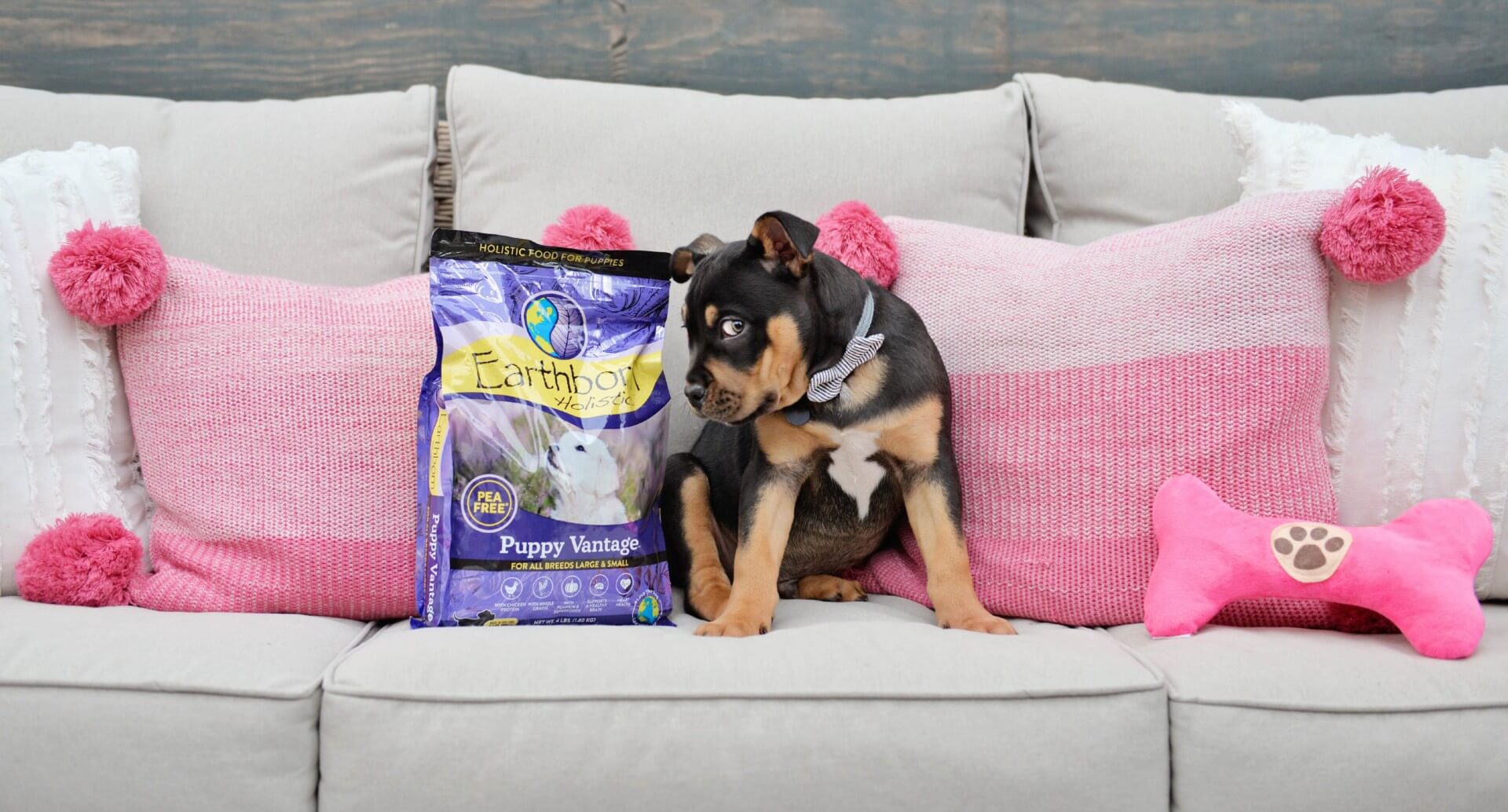How Much Should I Feed My Puppy? Earthborn Holistic Pet Food
