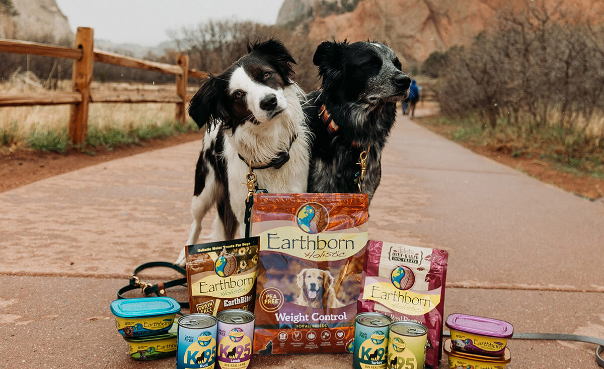 Wet Vs Dry Weight Management Dog Food | Earthborn Holistic Pet Food