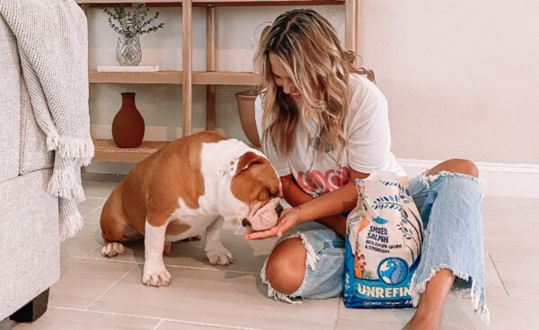 Everything To Know About Ancient Grains Dog Food Earthborn Holistic Pet Food