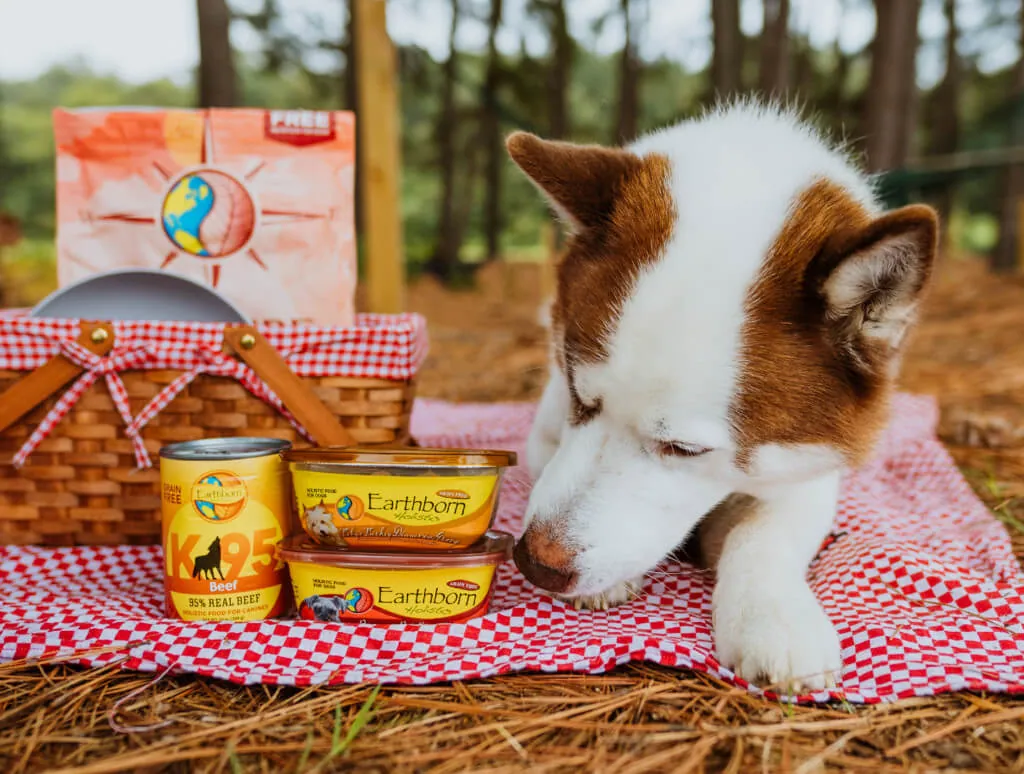 How Long Can Canned Dog Food Sit Out