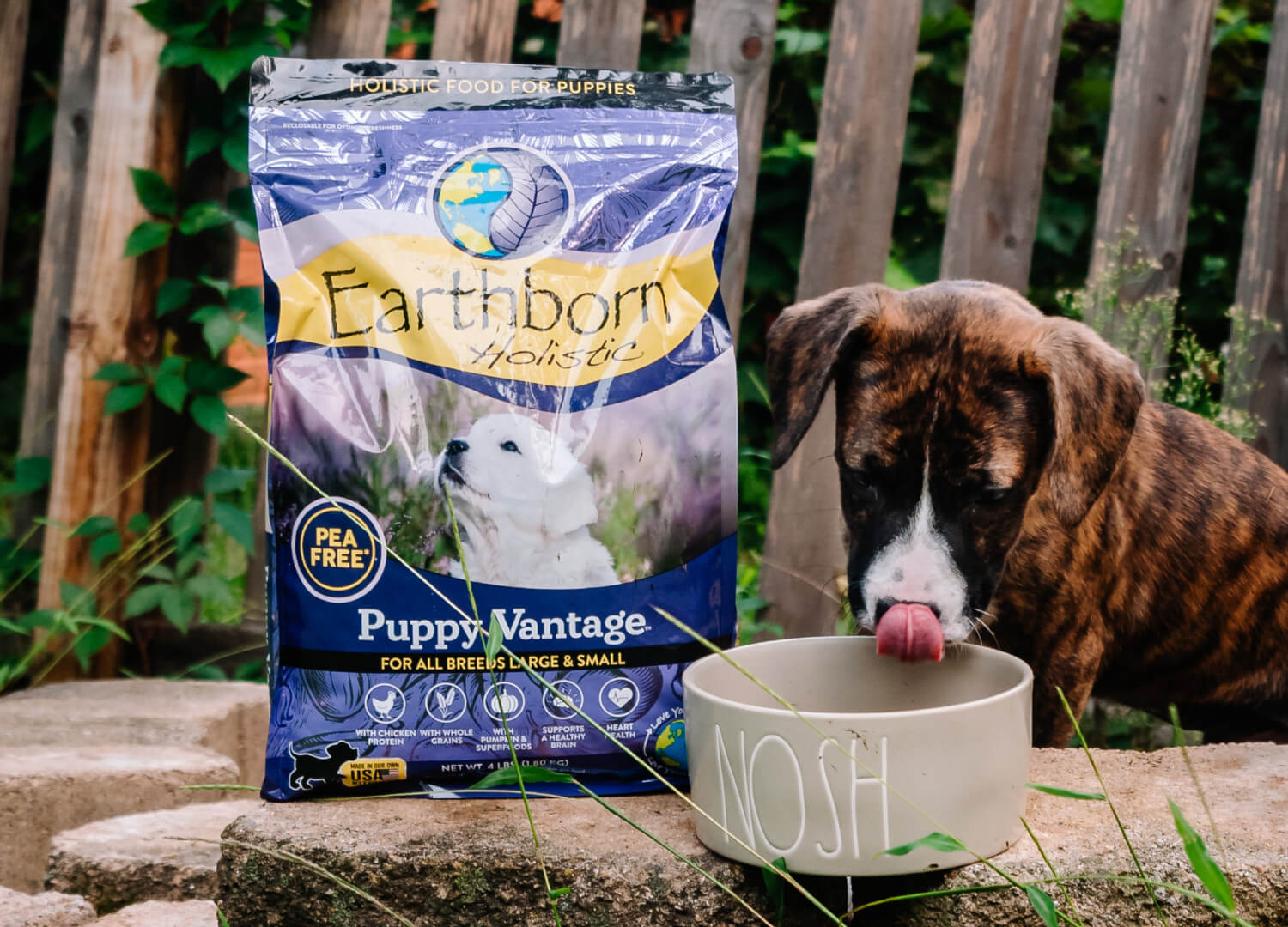 The Complete Guide to Our Holistic Puppy Food Earthborn Holistic Pet Food