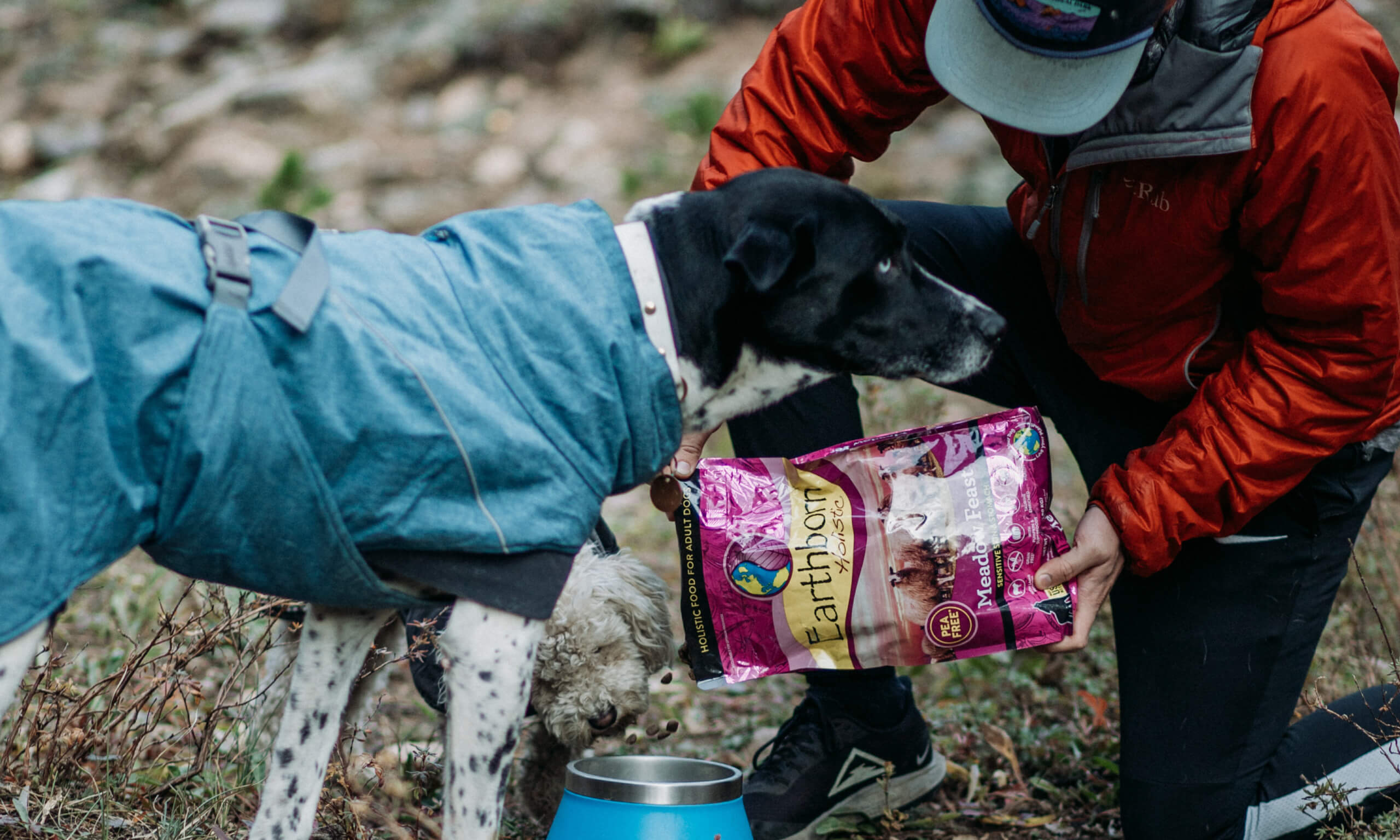 Holistic Grain Free Dog Food 101 Earthborn Holistic Pet Food