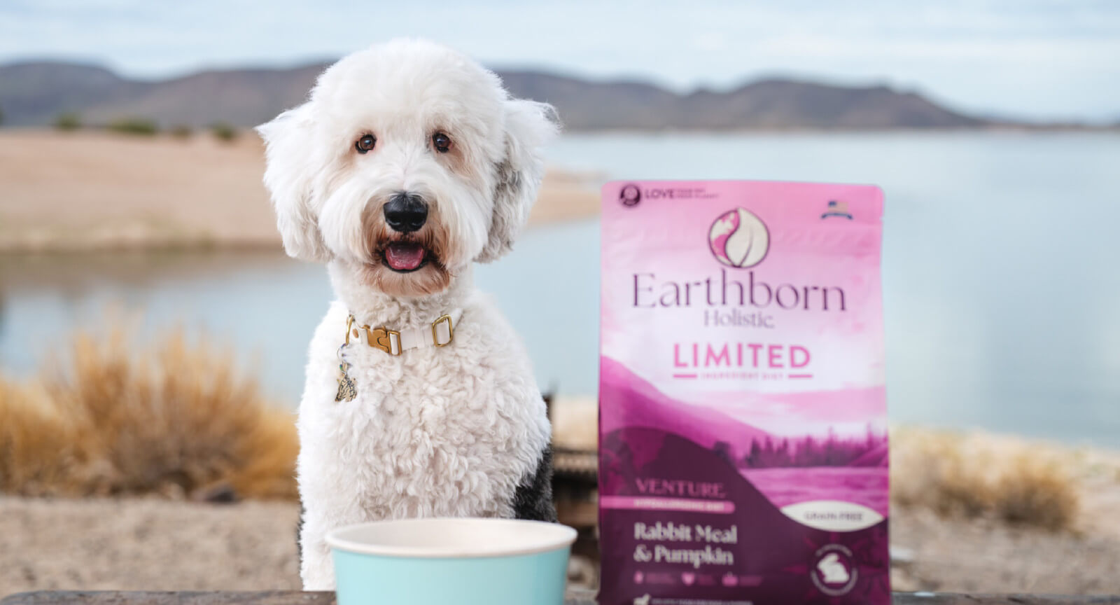 Limited Ingredient Dog Food The Best Dog Food for Dogs With Allergies