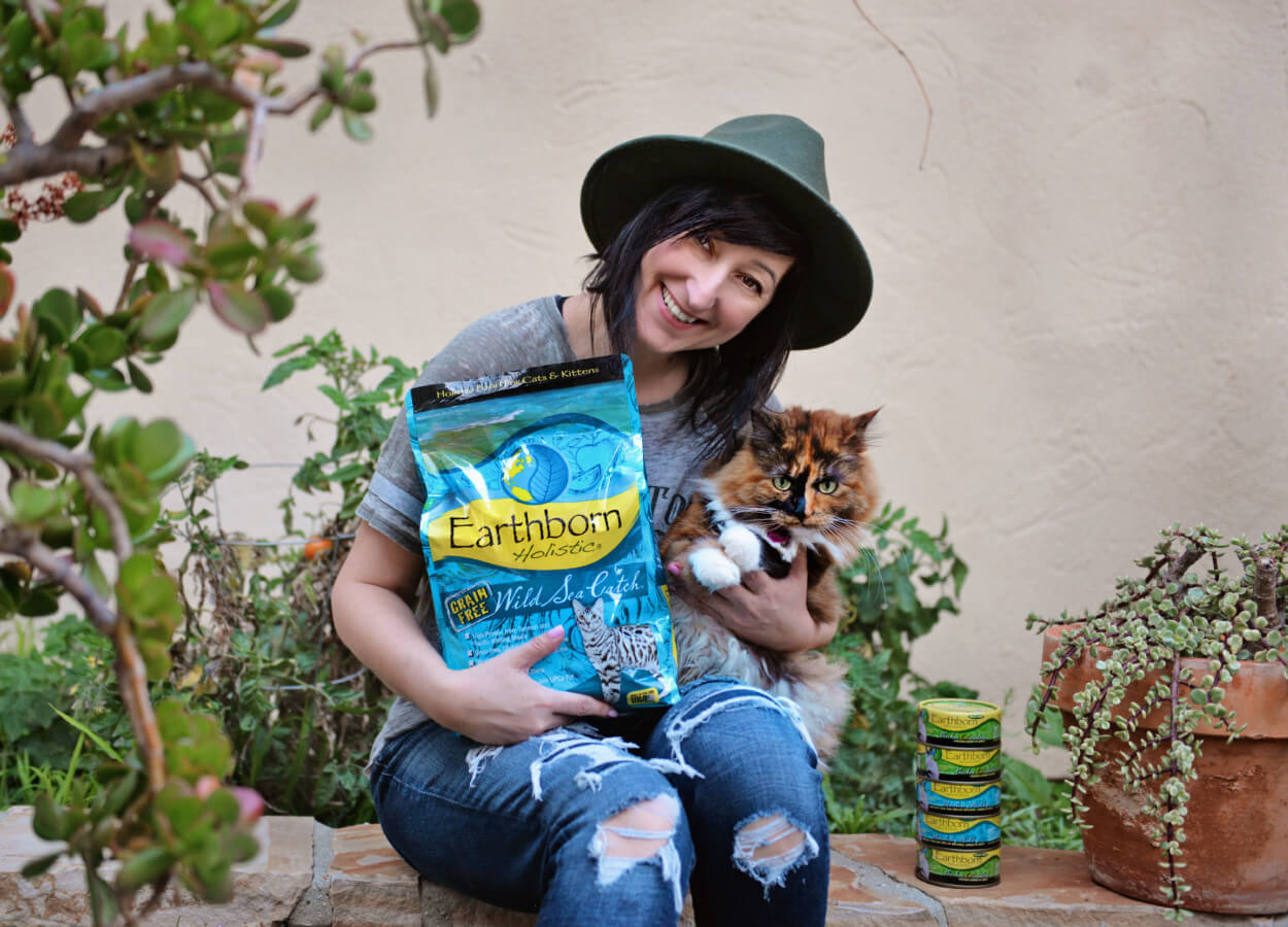 Everything to Know About Cat Kibble Earthborn Holistic Pet Food