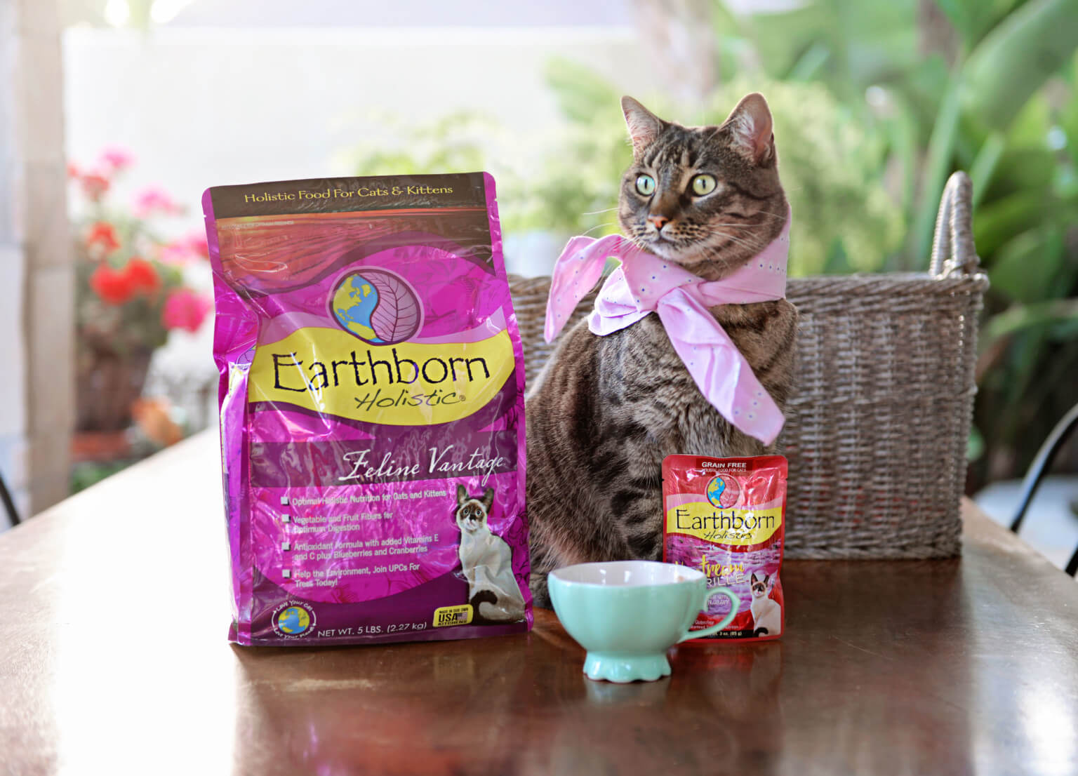 Everything to Know About Cat Kibble Earthborn Holistic Pet Food