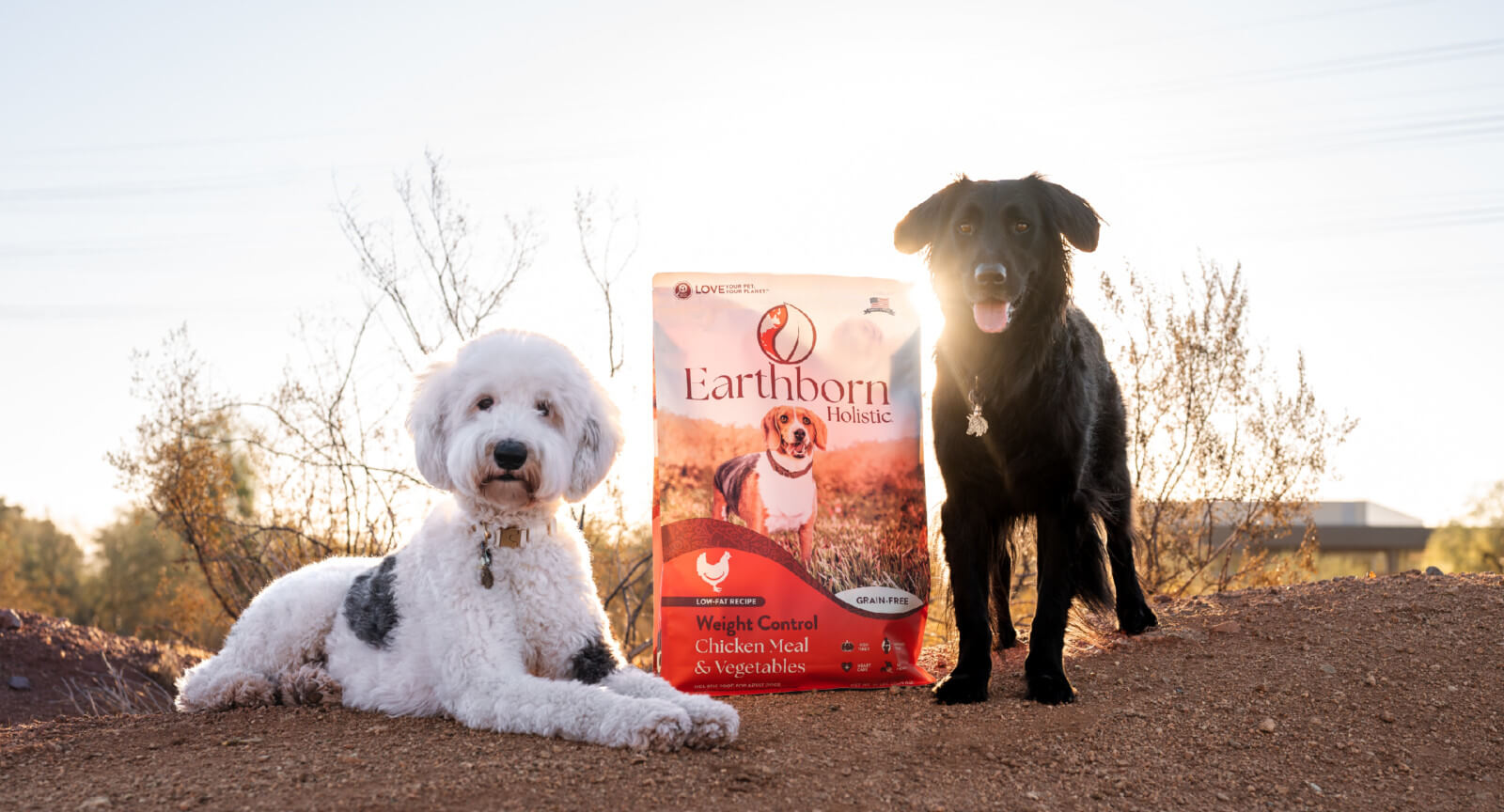 A Guide to Dog Food with Probiotics Earthborn Holistic Pet Food