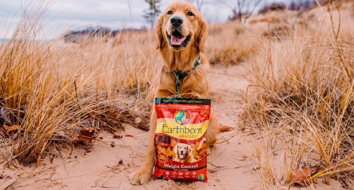 A Guide to Dog Food with Probiotics Earthborn Holistic Pet Food