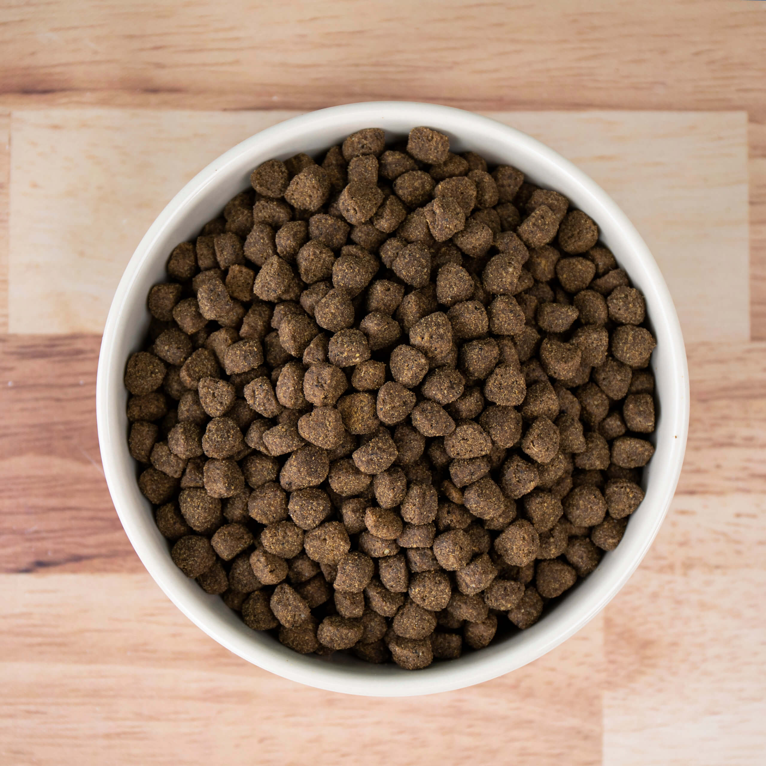 Unrefined Smoked Bison Earthborn Holistic Pet Food