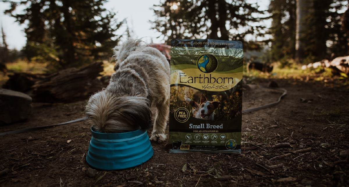 Healthy Small Breed Dog Food Options to Try Earthborn Holistic Pet Food