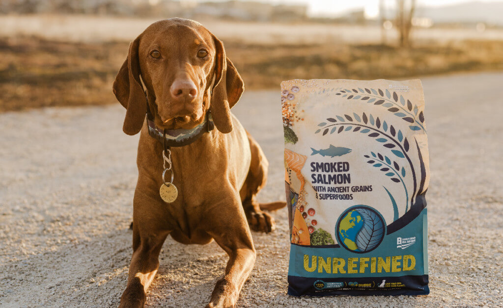 Understanding Common Dog Food Allergies & The Best Diet for Dogs with