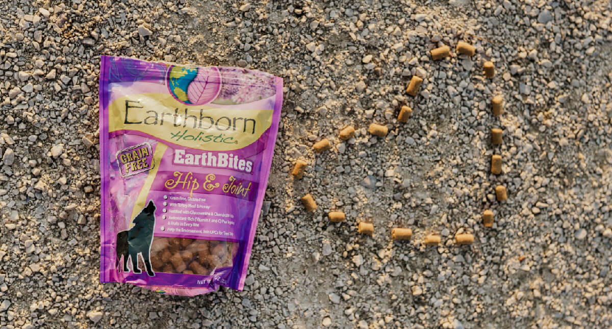 Understanding Common Dog Food Allergies & The Best Diet for Dogs with Food Allergies Earthborn