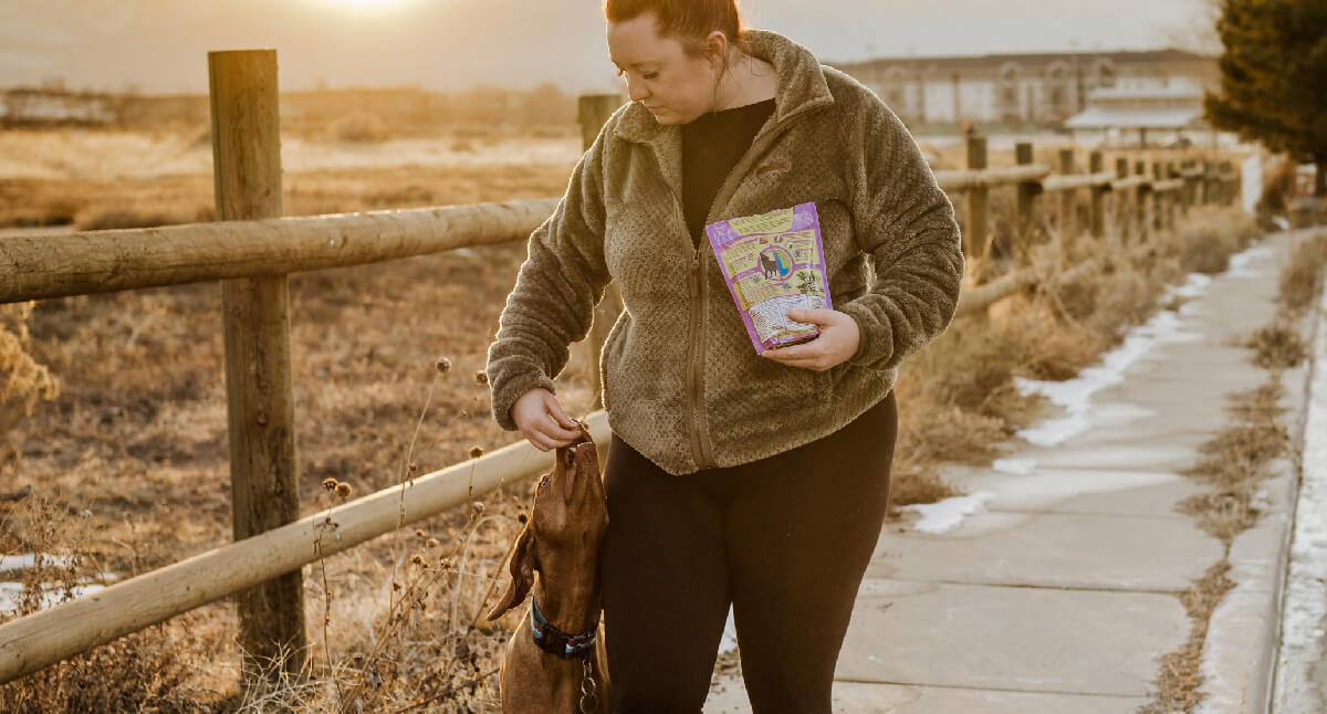 Understanding Common Dog Food Allergies & The Best Diet for Dogs with