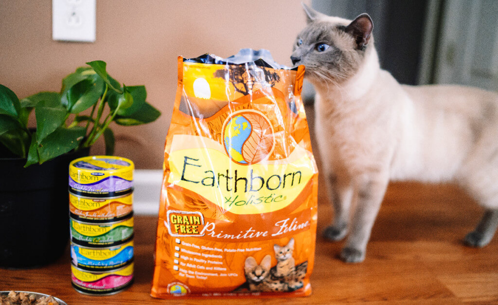 9 Great Questions to Ask Before Choosing New Cat Food Earthborn Holistic Pet Food