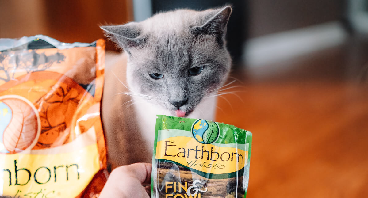 9 Great Questions to Ask Before Choosing New Cat Food Earthborn